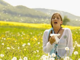 аллергия на пыльцу